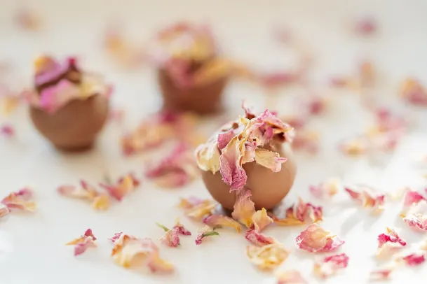 카지노 팜 슬롯츠 안드로이드/iOS 앱